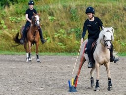 _DSC8209_web